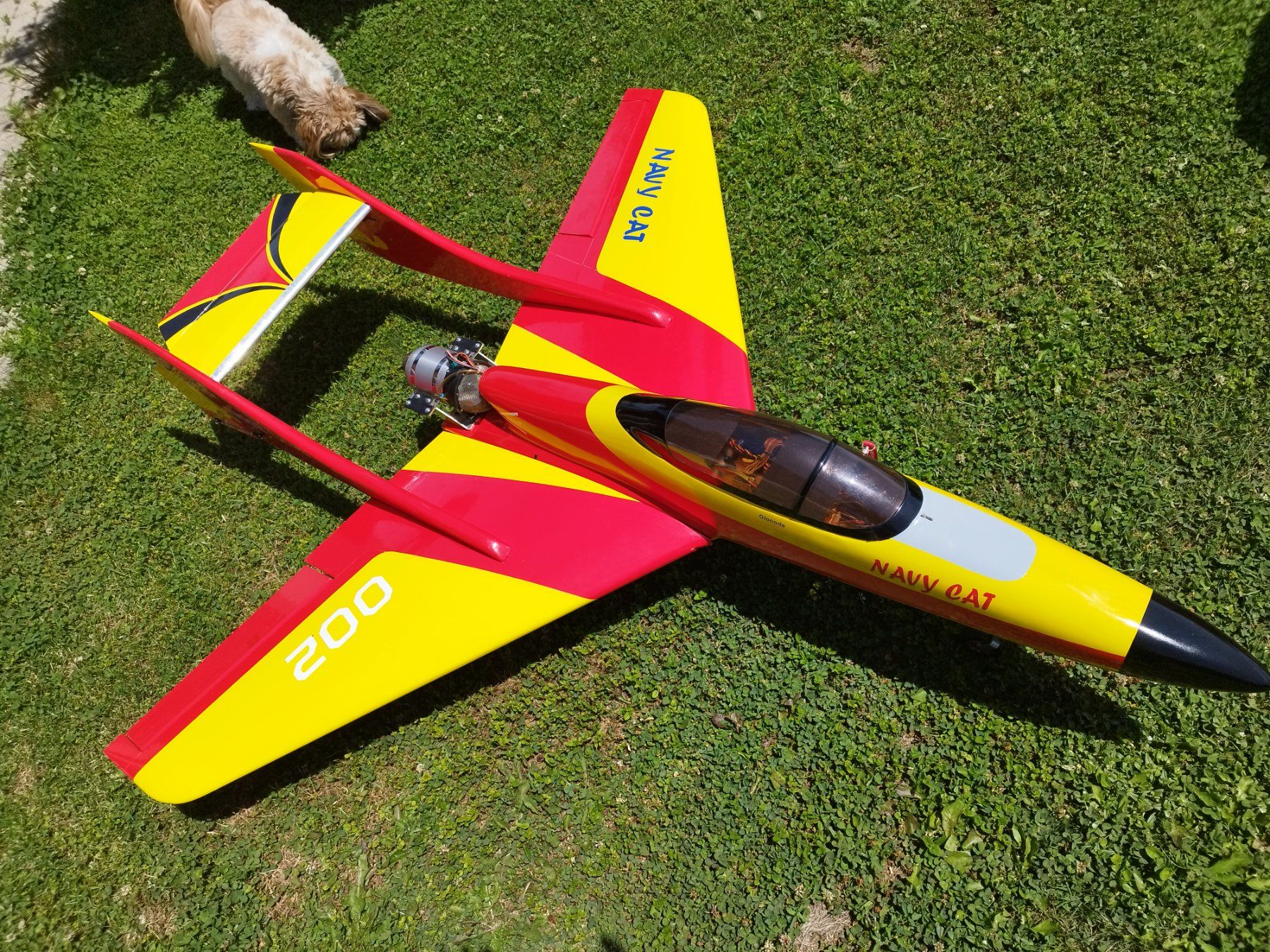 Modellismo RC: Jet RC Navy Cat – Usato da Grimisuat venduto da Turckan 4