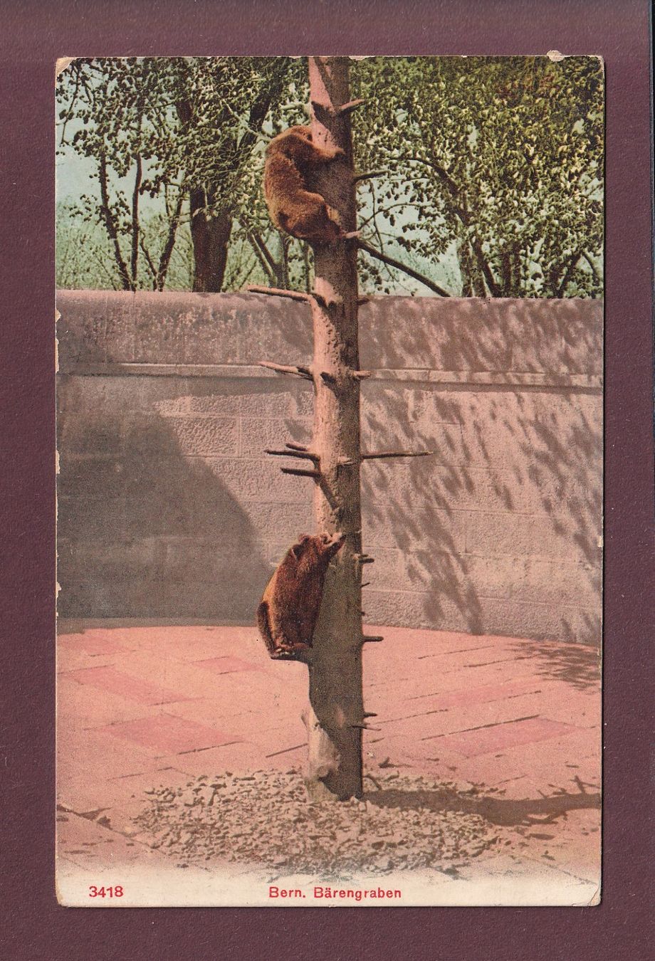 Cartoline postali: BERN - Bärengraben – Usato da Pully venduto da nicecards