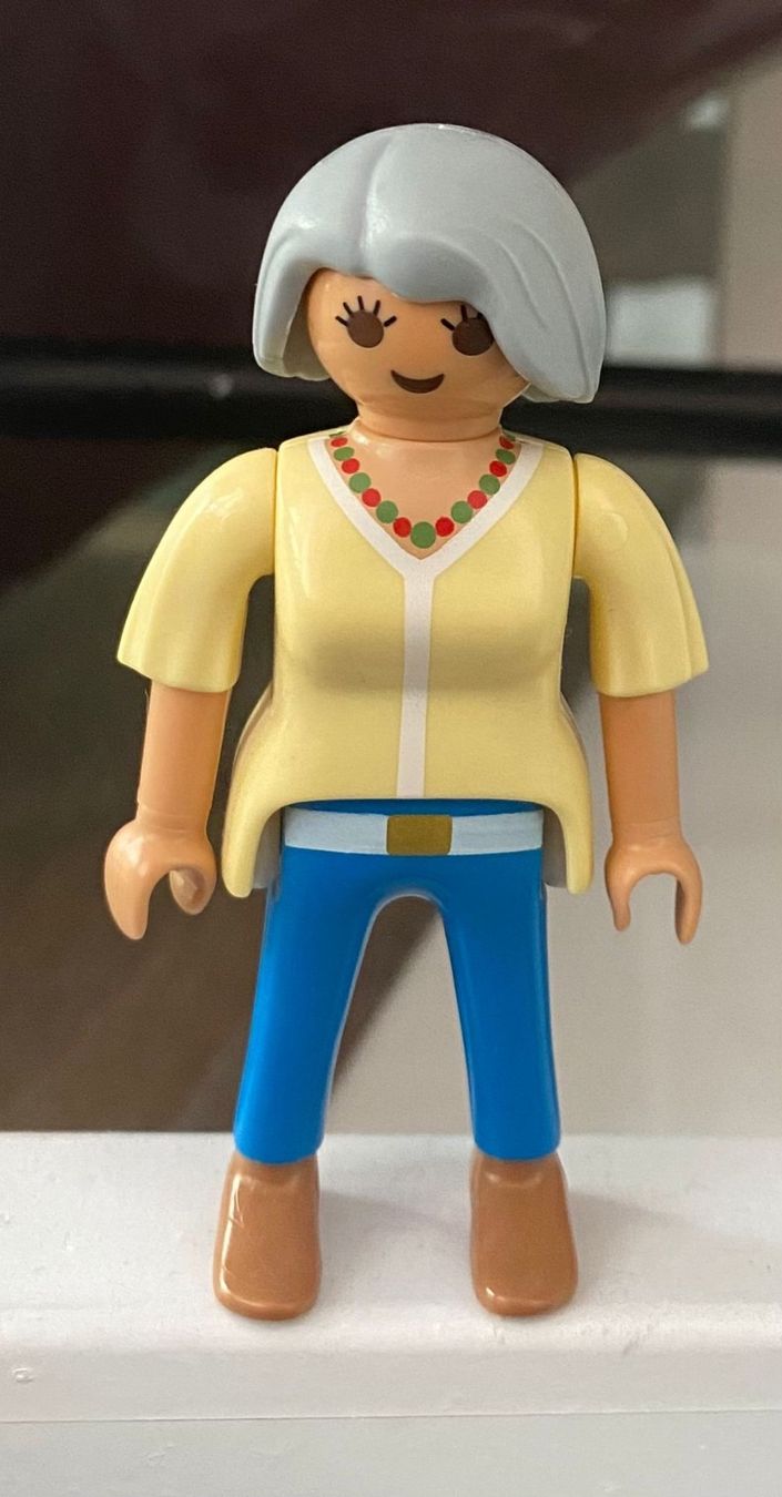 Playmobil Spielzeuge: Petit zoo playmobil – Neu (gemäss Beschreibung) aus La Croix (Lutry) von pet_stw9 2