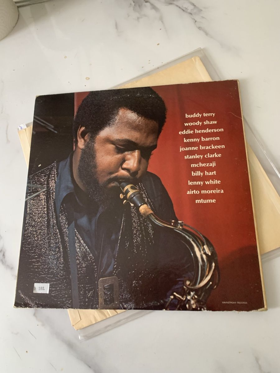 Dischi in vinile: Buddy Terry/Pure Dynamite(Stanley Clarke) – Usato da lausanne venduto da Ccheche 7