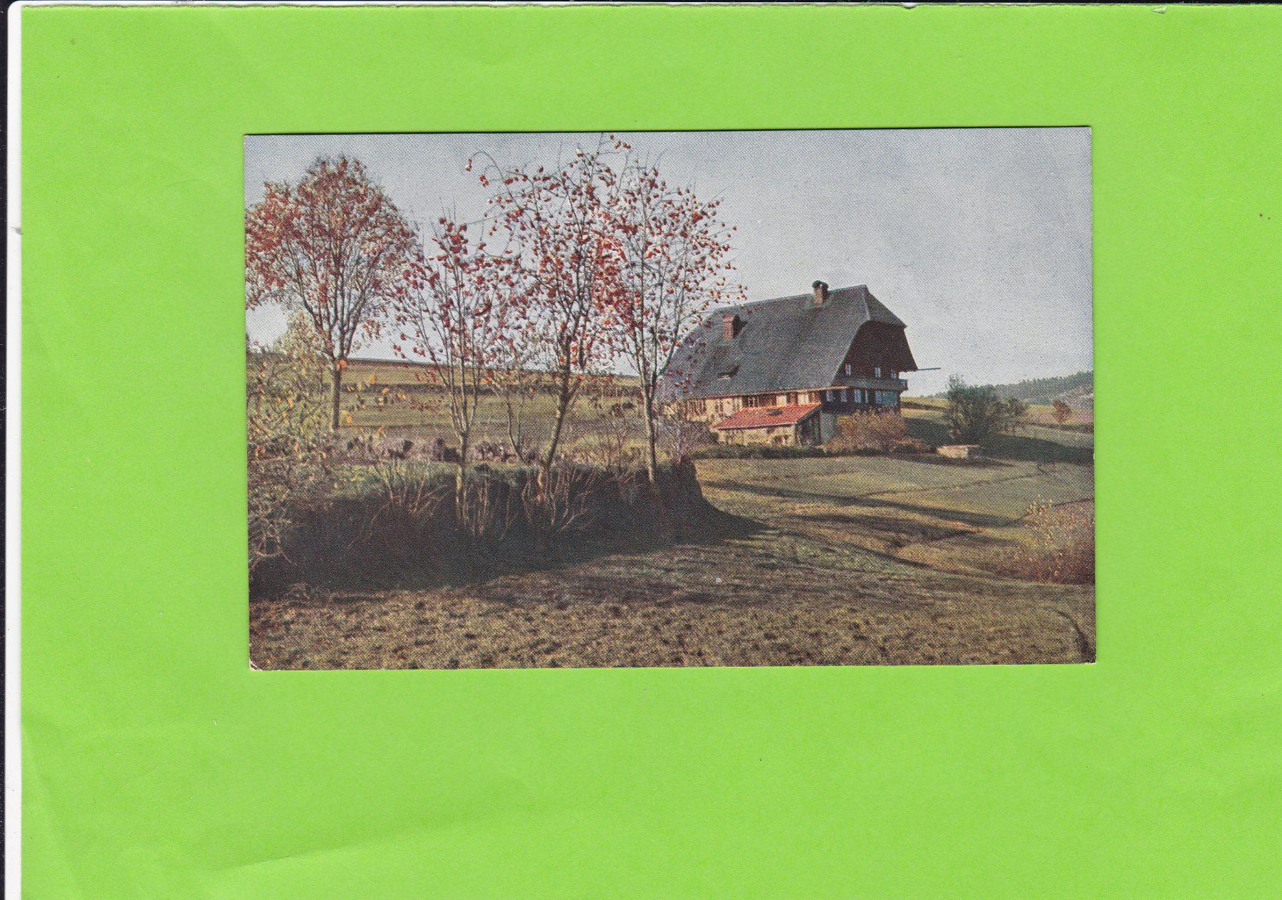 Cartoline postali: Bauernhaus – Usato da St. Peterzell venduto da neckertal