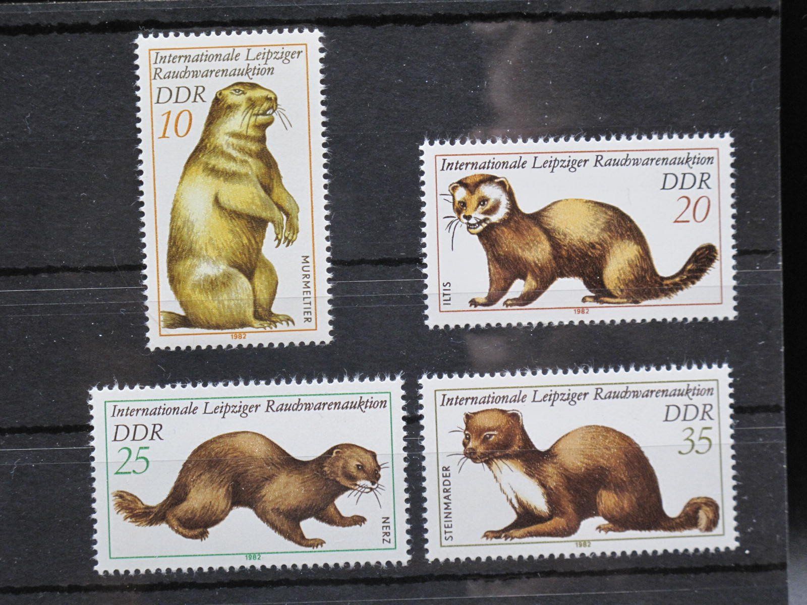 Tutti i francobolli: DDR 1982 Murmeltier / Iltis / Nerz  ** – Usato da Wil SG venduto da fva01
