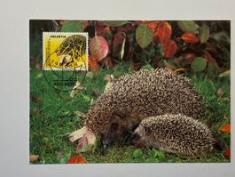 Maximumkarte Schweizer Tierschutz - Wildtier 2004 ET