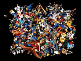 LEGO Figuren & Tiere 0.852kg