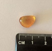 Ambre jaune 0,4 g / Bernstein
