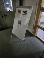 gebrauchter höhenverstellbares Flipchart 72x168cm ab 1.-