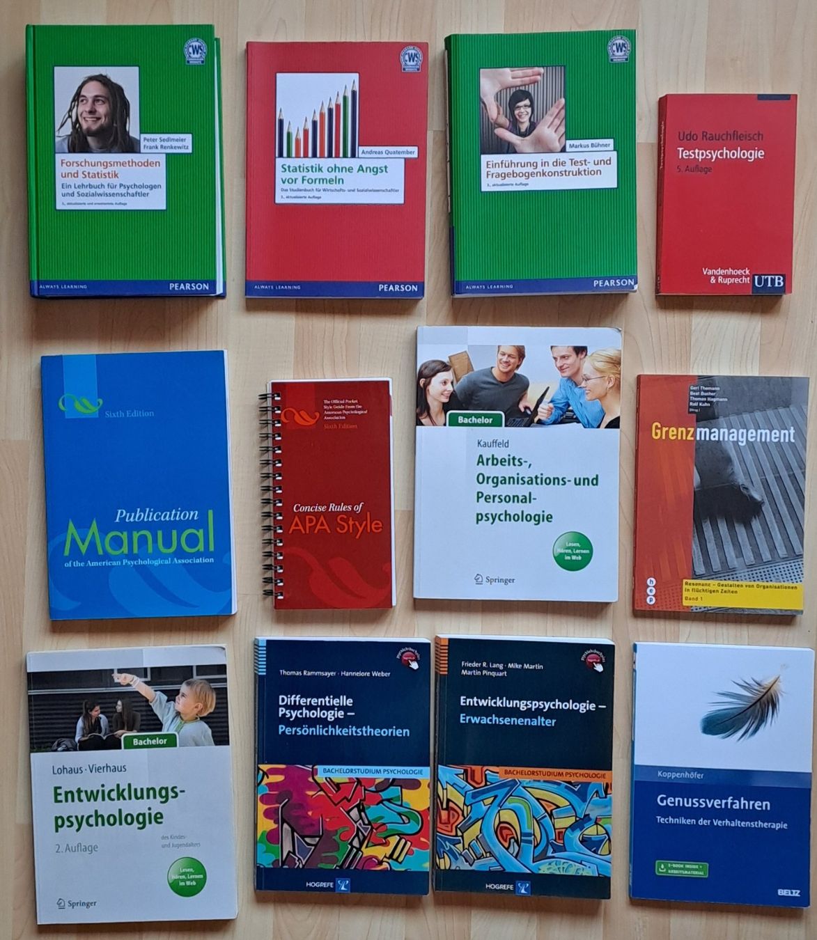 Libri: Bücher fürs Psychologiestudium – Usato da Mettmenstetten venduto da EstherN