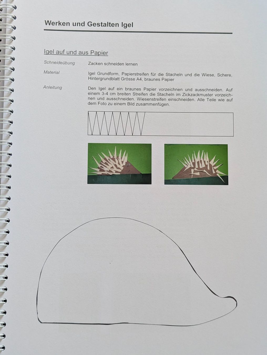 Libri: Kindergartenarbeitsmappe: Der Igelherbst – Nuovo (secondo la descrizione) da Weite venduto da Nur63 3