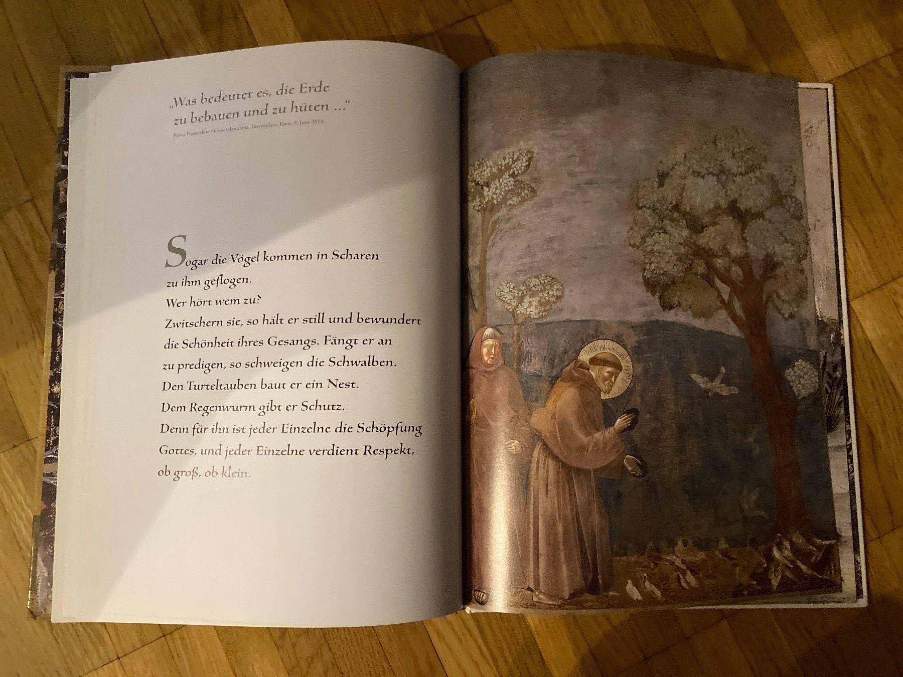 Libri: Franziskus von Assisi – Nuovo (secondo la descrizione) da Winterthur venduto da Quilterin 3