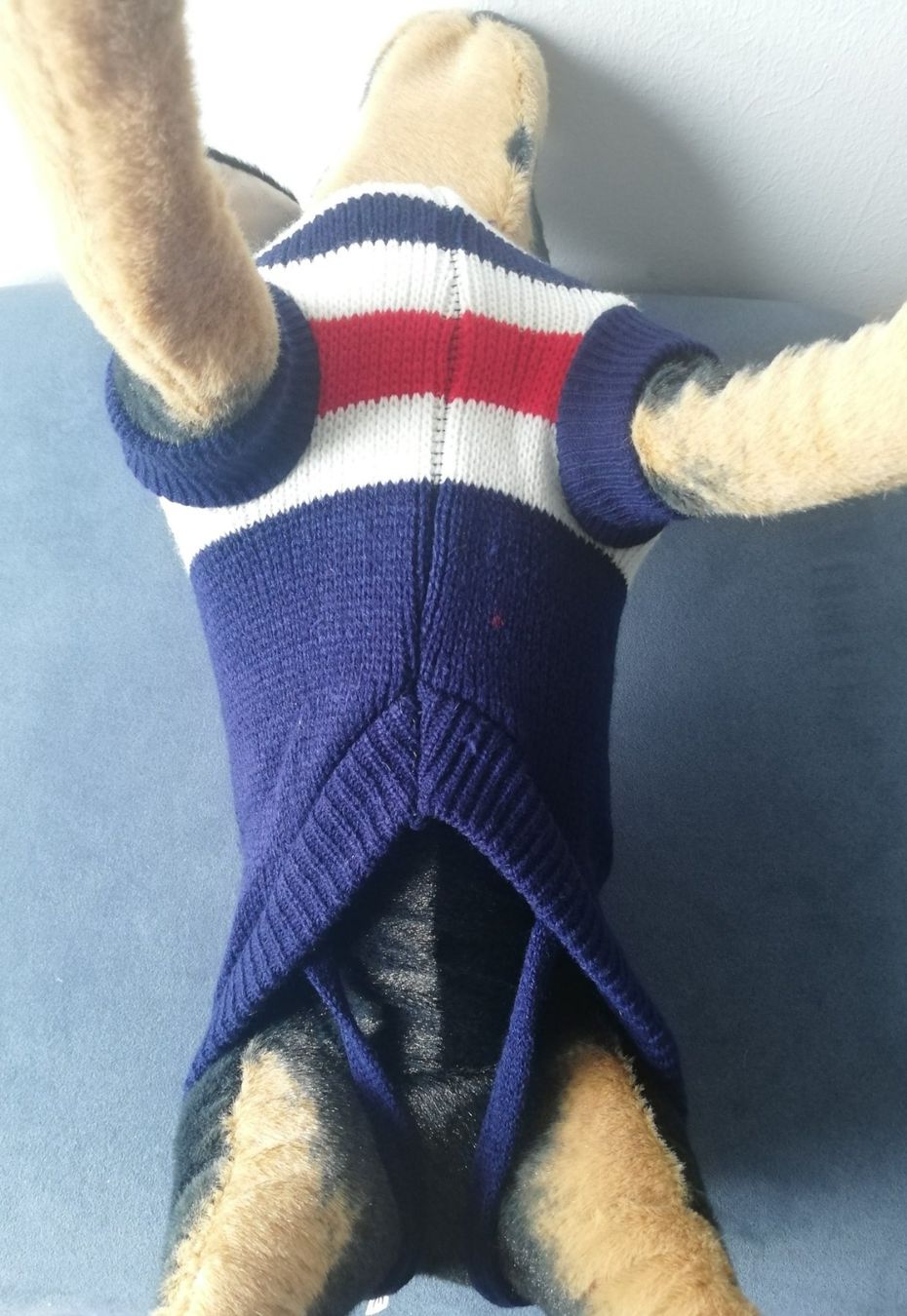 Abbigliamento: Warmer Hunde Strickpullover blau mit Streifen 38 cm lang – Nuovo e nell'imballaggio originale da Rüegsauschachen venduto da W4PAW 4