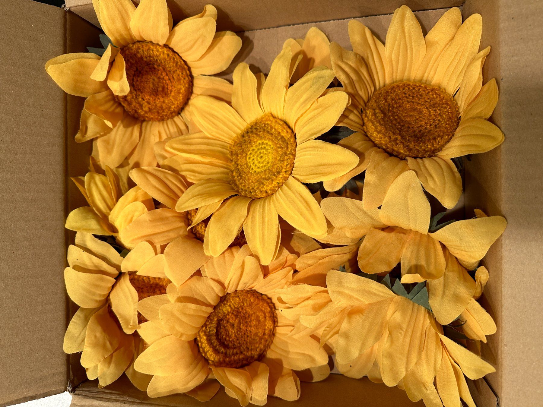 Pflanzen & Samen: Sonnenblumen Köpfe – Gebraucht aus Laupen ZH von Mcafi02