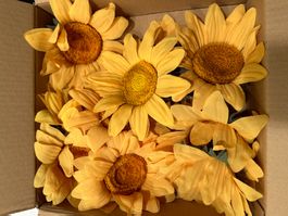 Sonnenblumen Köpfe