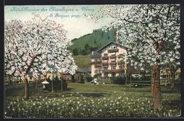 Vevey, Hotel Pension des Chevalleyres, E