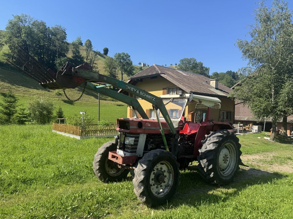 Massey Ferguson Trattori: Massey Ferguson 165 mit Frontlader und Seilwinde – Difettoso da Luthern Bad venduto da james044 2