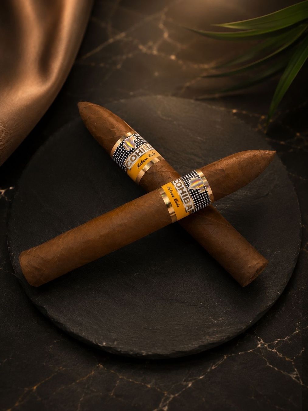 Cohiba Cigares: Cohiba Esplendidos – Neuf avec emballage d'origine à Basel par Sneki 1