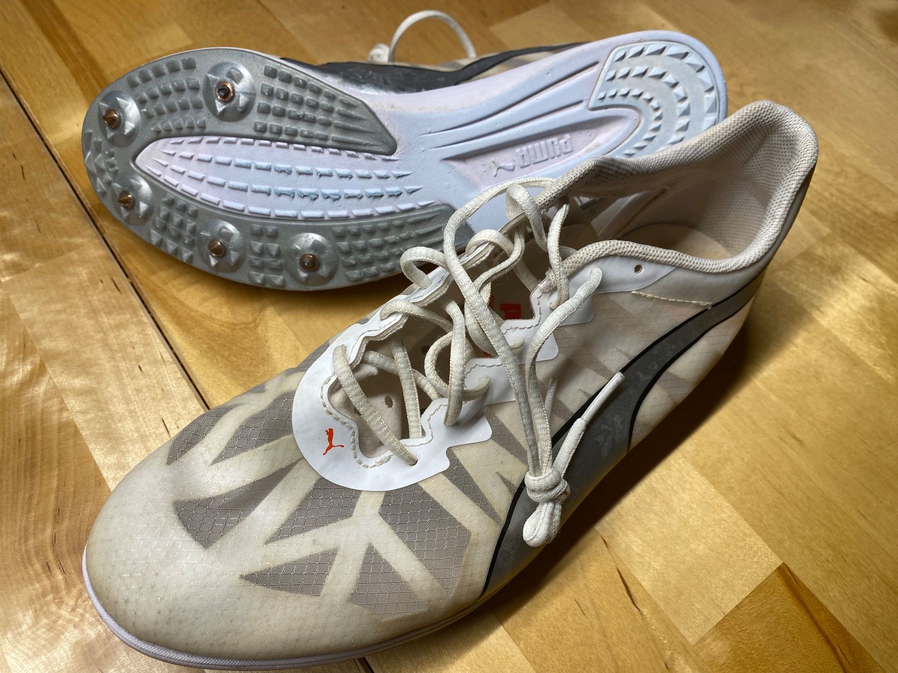 Scarpe da uomo: Puma Evospeed Distance 9 – Usato da Münsingen venduto da lyf_j8ng