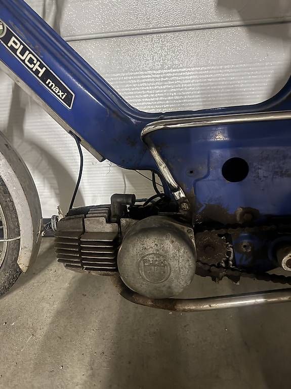 Puch Ciclomotori: Puch Maxi S – Usato da Diepoldsau venduto da fed_wvn6 2