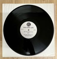 Soundscape - Do They Mean Us?