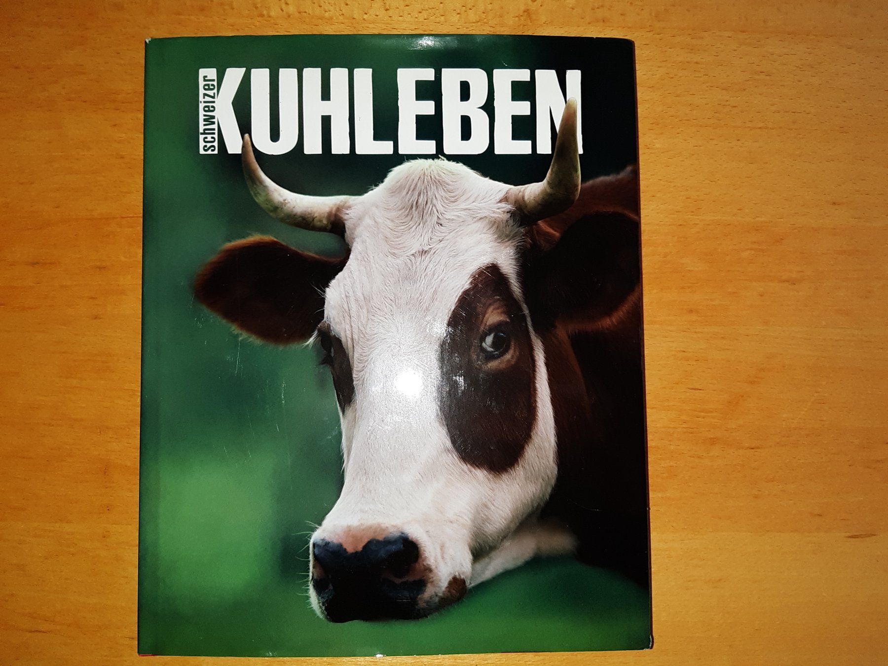 Libri: Schweizer Kühe Bildband "KUHLEBEN" – Usato da Rotkreuz venduto da nigal