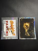 Panini Sammelbildli WM 2006 2 Stk.