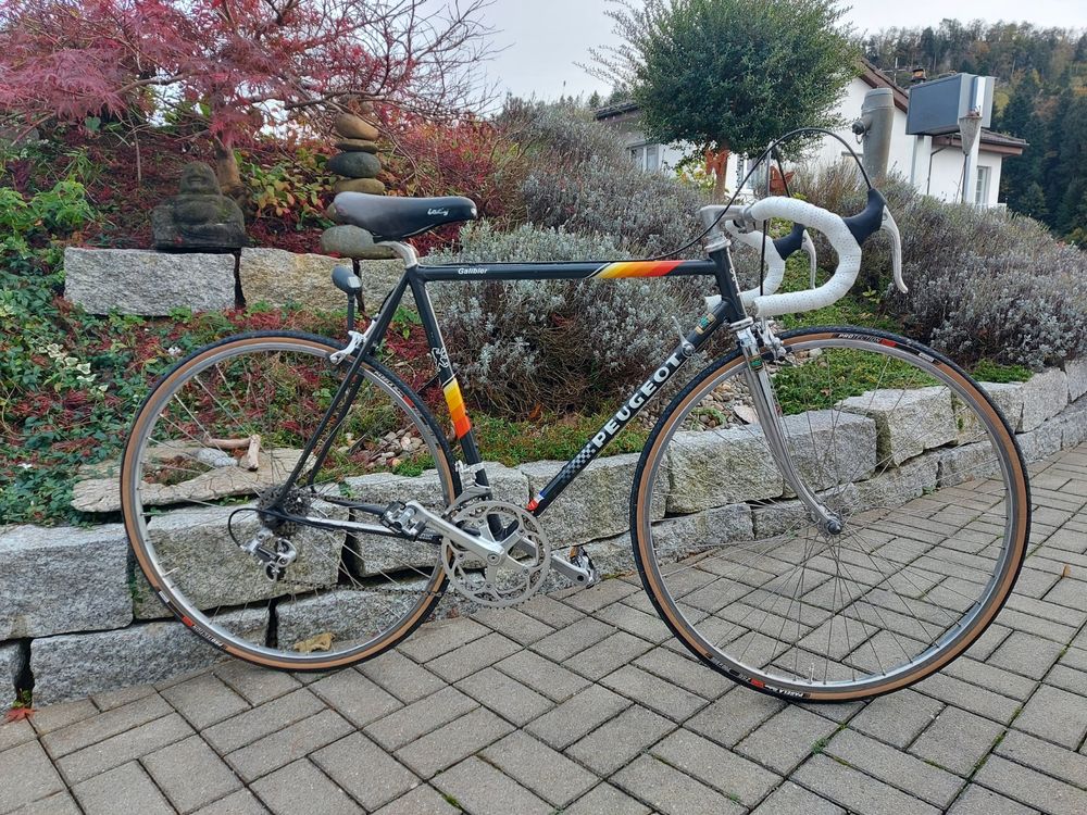 Faszinierend Peugeot Rennrad Neu Bild
