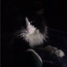 Profile image of amm_5bw7