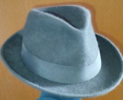 Retro Hut Fedora grau Fell