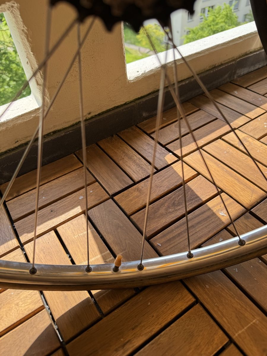 Campagnolo Felgen: Campagnolo/Mavic 28“ – Gebraucht aus Zürich von Perowe 2