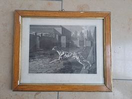 Original engl. Kupferstich 19.Jht.