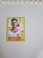 Panini Sticker ENG10
