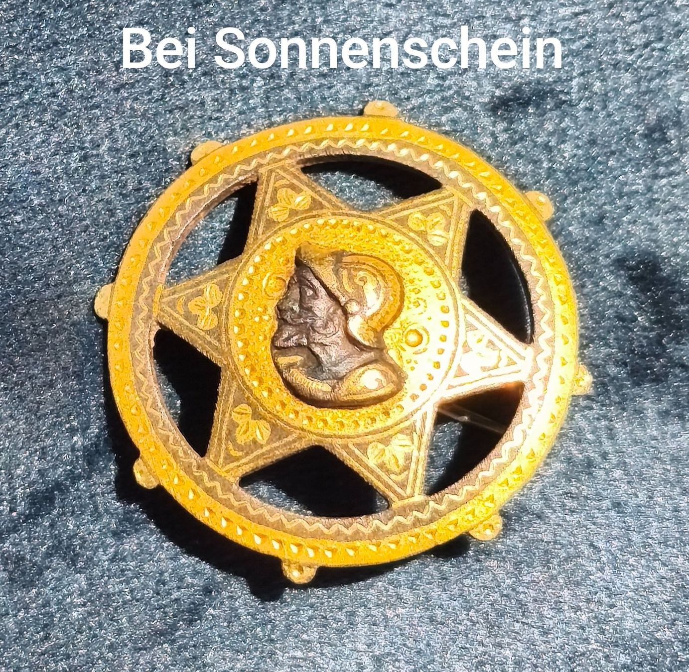 Placchette & Badge: Vereins- oder Festorden, historisches Abzeichen in Sternform – Usato da Zürich venduto da Tanteemma369 4