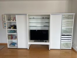 Bücher/Fernsehregal