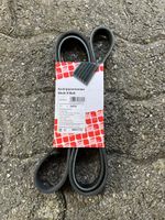 Keilrippenriemen Febi Bilstein 28979