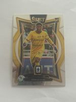 Zion Suzuki 2024-25 Panini Select Serie A Terrace Base RC #5