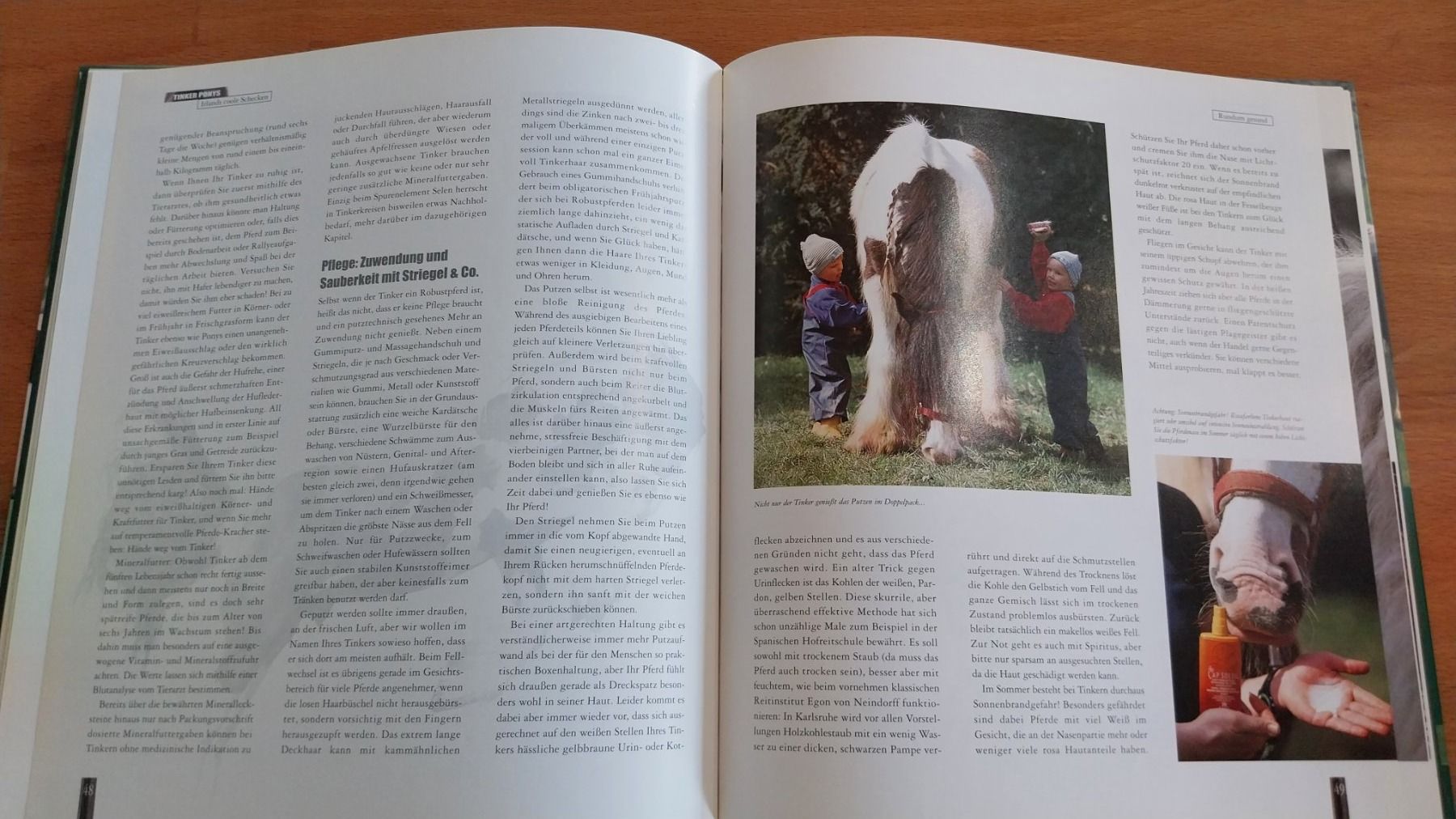 Libri: Buch Tinker Ponys - Irlands coole Schecken – Usato da Staufen venduto da Sunsetranch 3