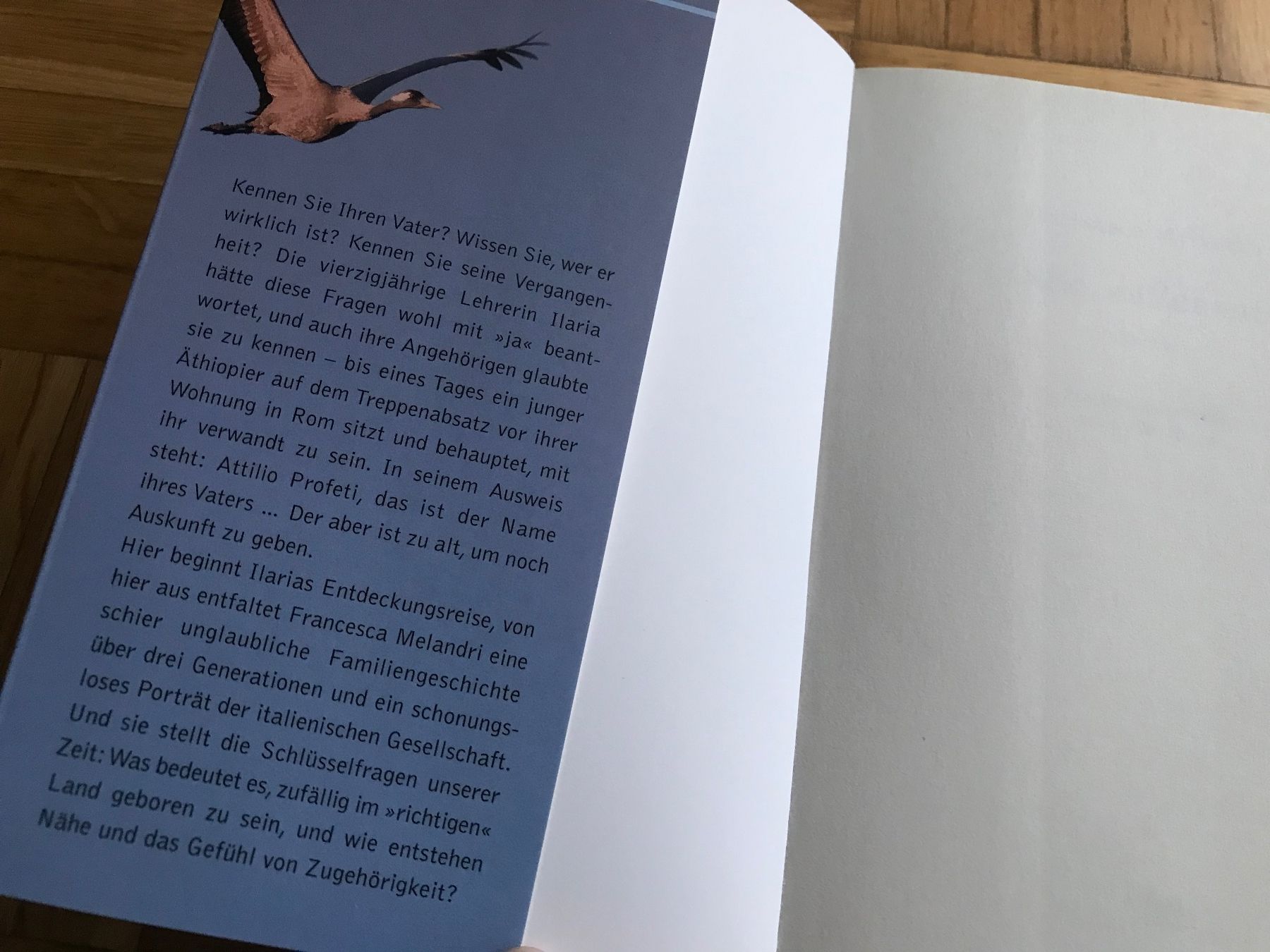 Libri: Francesca Melandri - Alle, ausser mir – Usato da Emmenbrücke venduto da Hathor123 3