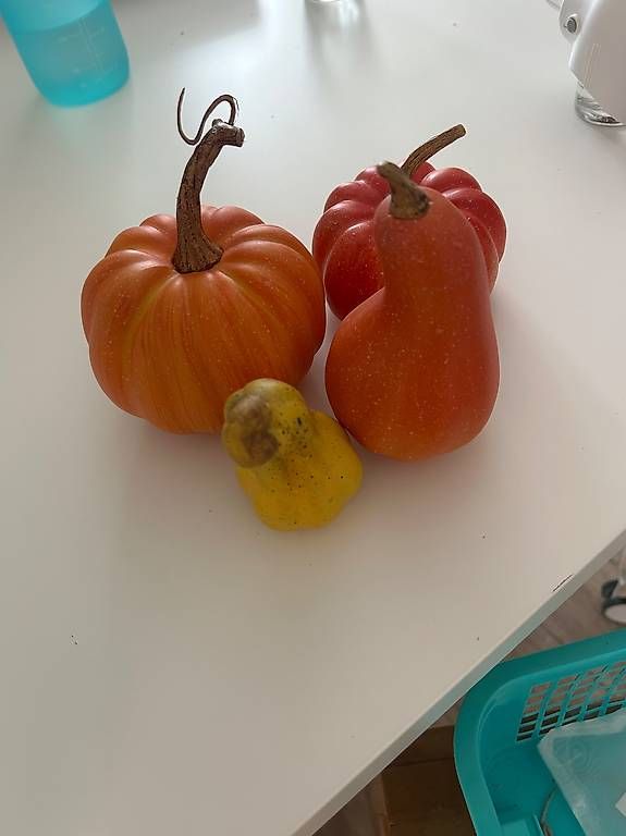 Tutte le decorazioni: Kürbis Dekoration – Usato da Muttenz venduto da smile62