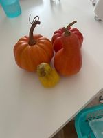 Kürbis Dekoration