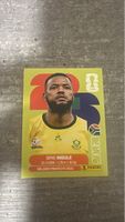 RSA 16 , FIFA WORLD CUP 2026 PANINI 