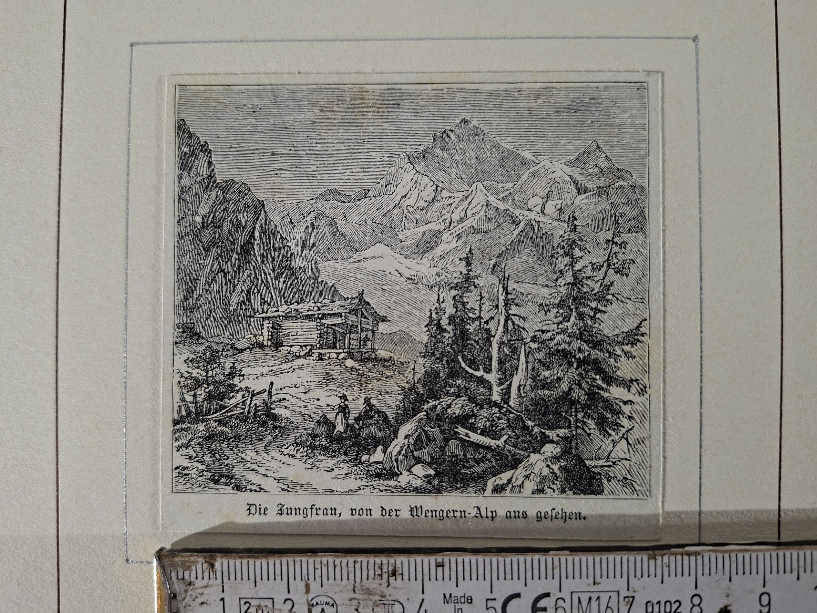 Incisioni: Lot 67 , 10 Stiche  – Usato da Grindelwald venduto da carro5 5