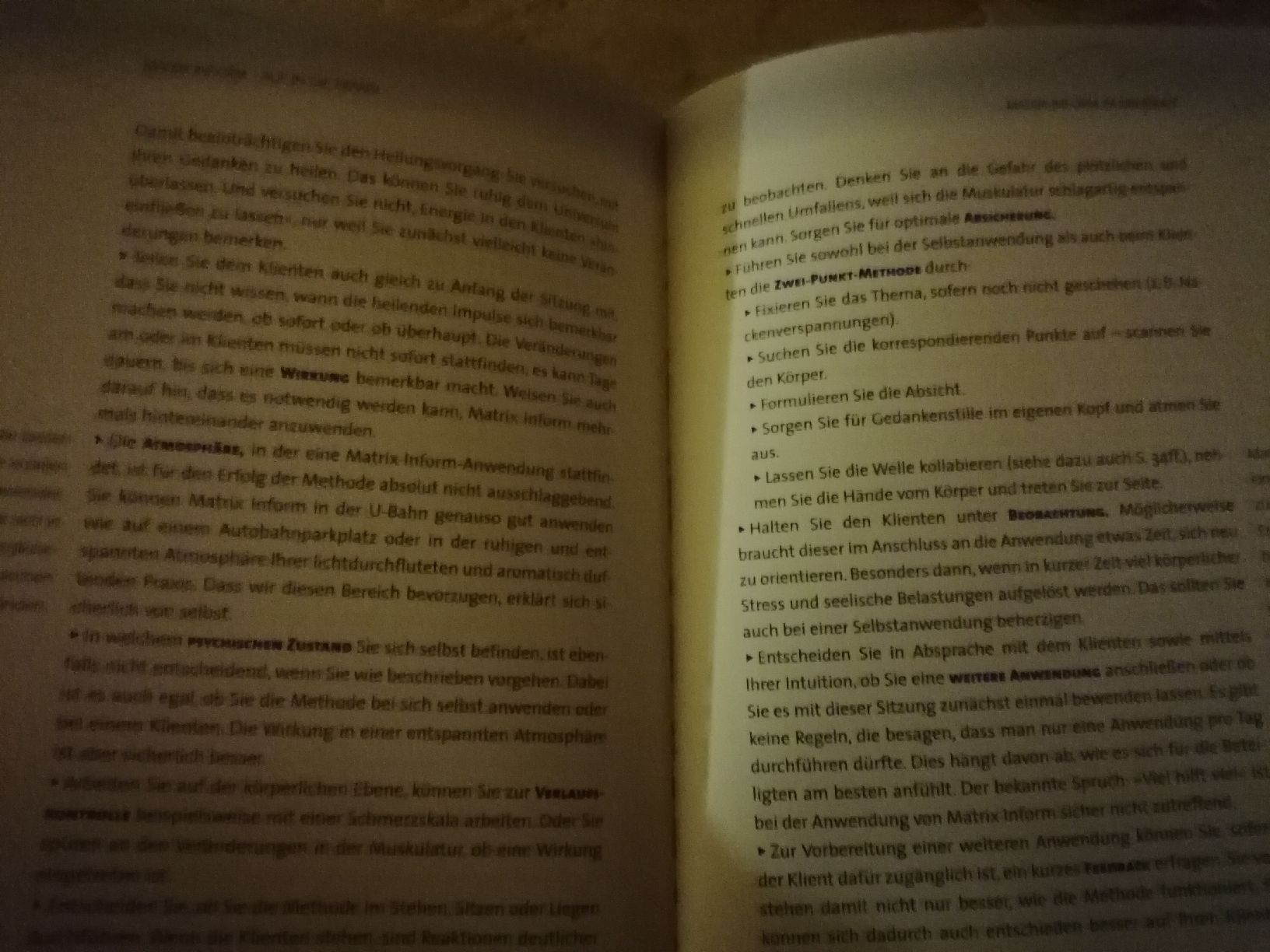 Bücher: Matrix Energetics & Matrix Inform. Quanten Physik.  – Gebraucht aus Wahlen b. Laufen von Aweiss 6
