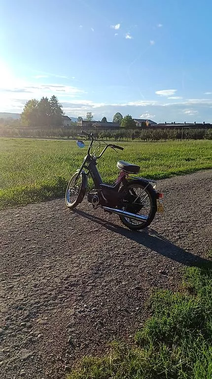 Puch Ciclomotori: Puch maxi N – Usato da Ballwil venduto da moggi75 1