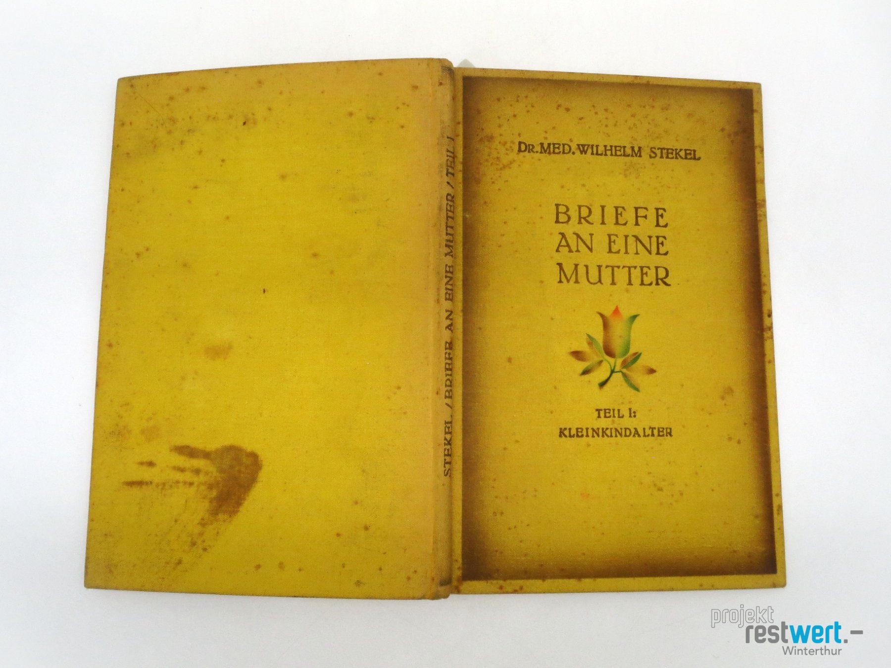 Libri: WILHELM STEKEL - Briefe an eine Mutter Teil 1 – Usato da Winterthur venduto da Restwert_Winterthur 1