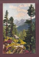 Partie an der BERNINA-BAHN - 1938