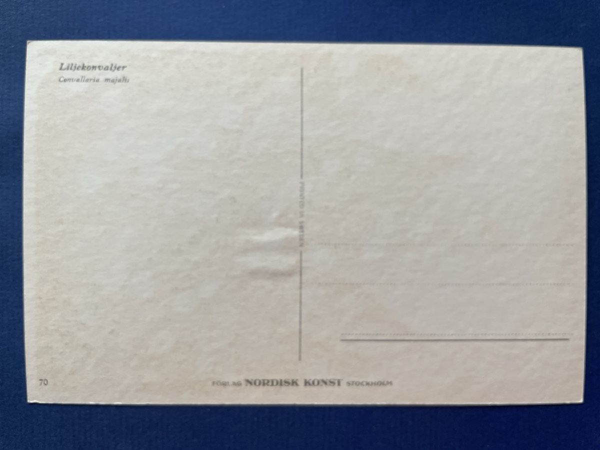 Cartoline postali: Alte Ansichtskarte: Liljekonvaljer / Maiglöckchen, Nordisk – Usato da Neuhausen am Rheinfall venduto da Arielle55 1