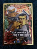 TEAM SHINTARO COLE & Zane Limited edition 
