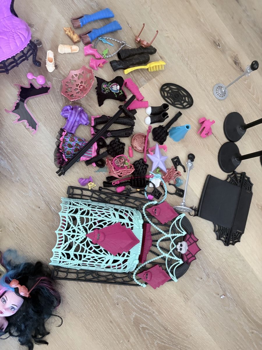 Bambole: Monster High Puppen plus Zubehör  – Usato da Rüti ZH venduto da Butterfly206cc 6
