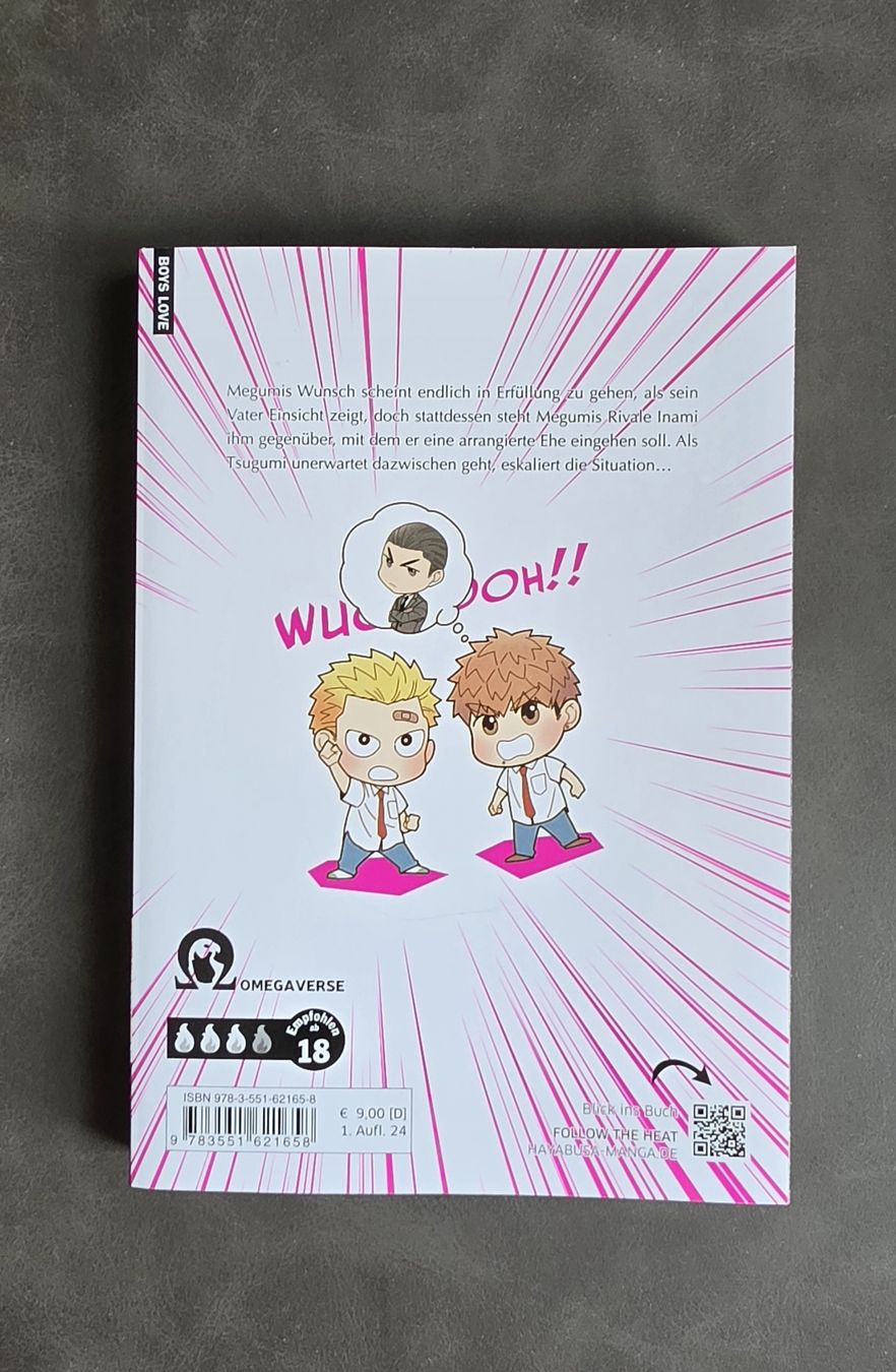Comics: Megumi & Tsugumi Manga Band 5, Boys Love, Top Zustand! – Neu (gemäss Beschreibung) aus Turgi von Swissrico08 1