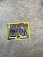Panini CUW 13