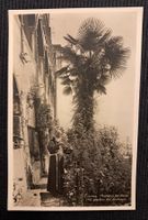 LOCARNO - GIARDINO DEL SANTUARIO - ANIMATA